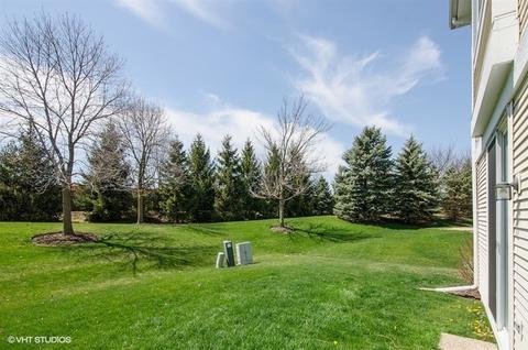 790 Mesa Dr, Elgin, IL 60123 photo 10