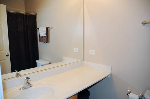 3605 Hyde Park Ct, Elgin, IL 60124 photo 20