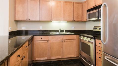30 E Huron St #4701, Chicago, IL 60611 photo 6