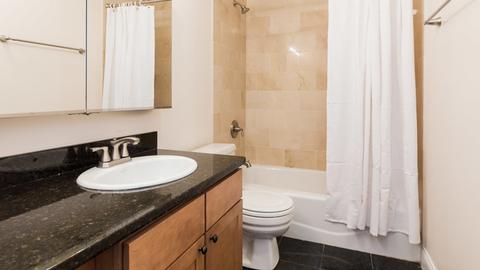 30 E Huron St #4701, Chicago, IL 60611 photo 10