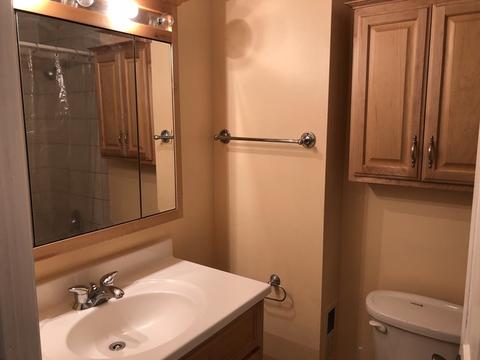 195 Robert Ct #B, Bartlett, IL 60103 photo 8