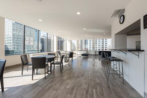 222 E Pearson St #1509, Chicago, IL 60611 photo 12