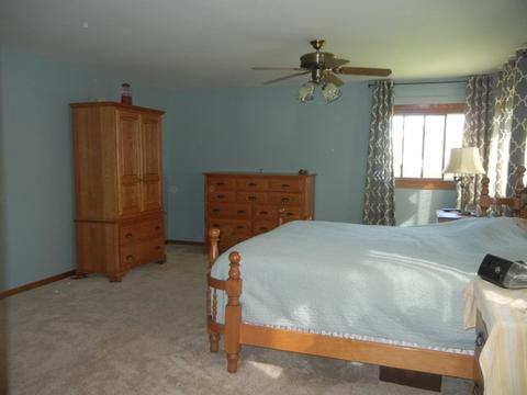 649 E Delite Inn Rd, Beecher, IL 60401 photo 13