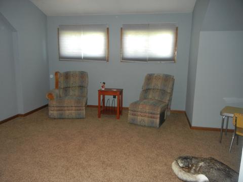 649 E Delite Inn Rd, Beecher, IL 60401 photo 17