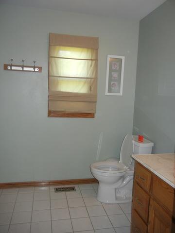 649 E Delite Inn Rd, Beecher, IL 60401 photo 6