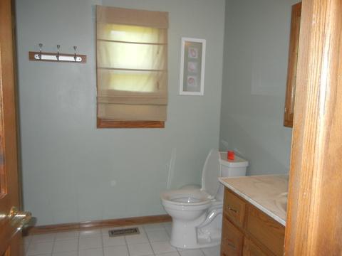 649 E Delite Inn Rd, Beecher, IL 60401 photo 5