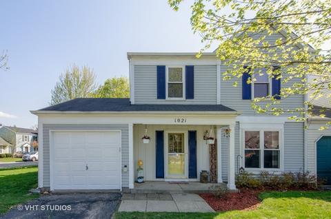 1021 Wesley Ln, Algonquin, IL 60102 photo 1