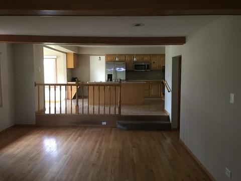 1050 Pine Ave, Olympia Fields, IL 60461 photo 2