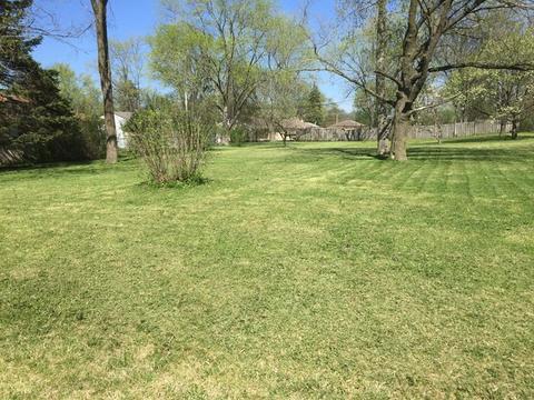 1050 Pine Ave, Olympia Fields, IL 60461 photo 11