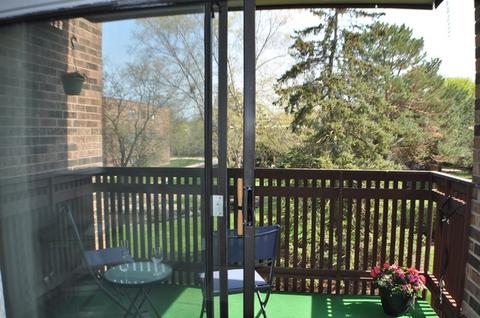 925 Spring Hill Dr #209, Northbrook, IL 60062 photo 17