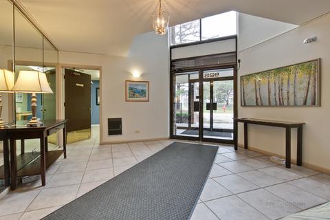 925 Spring Hill Dr #209, Northbrook, IL 60062 photo 2