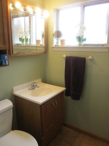 237 Grant St, Park Forest, IL 60466 photo 13