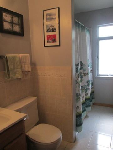237 Grant St, Park Forest, IL 60466 photo 10