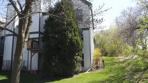 929 Old Oak Cir, Algonquin, IL 60102 photo 17