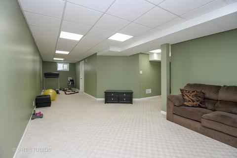 285 Maple St, Beecher, IL 60401 photo 14