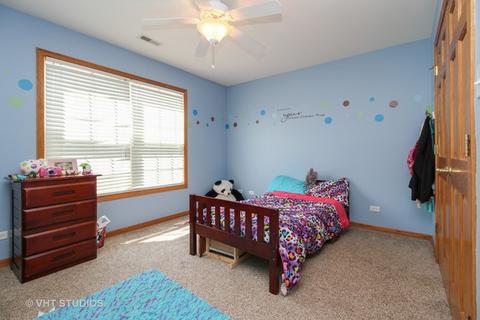 285 Maple St, Beecher, IL 60401 photo 9