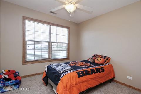 285 Maple St, Beecher, IL 60401 photo 10