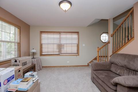 285 Maple St, Beecher, IL 60401 photo 6