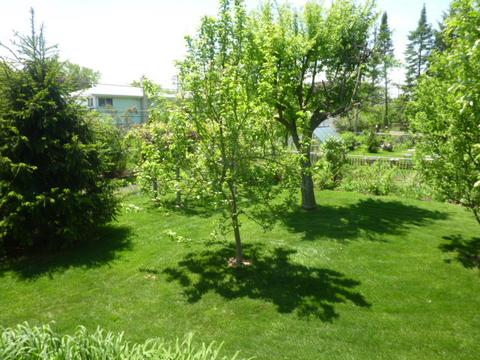 61 E Terrace Ln, Des Plaines, IL 60016 photo 33