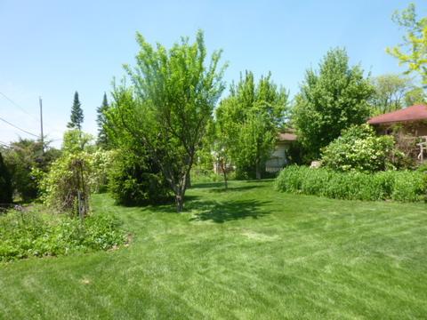 61 E Terrace Ln, Des Plaines, IL 60016 photo 43