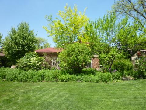 61 E Terrace Ln, Des Plaines, IL 60016 photo 45