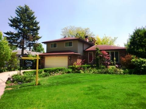 61 E Terrace Ln, Des Plaines, IL 60016 photo 1