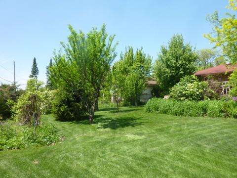 61 E Terrace Ln, Des Plaines, IL 60016 photo 42