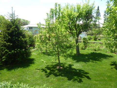 61 E Terrace Ln, Des Plaines, IL 60016 photo 47