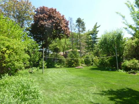 61 E Terrace Ln, Des Plaines, IL 60016 photo 39