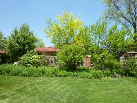 61 E Terrace Ln, Des Plaines, IL 60016 photo 35