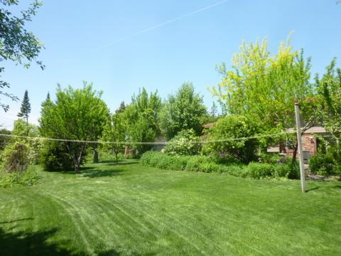 61 E Terrace Ln, Des Plaines, IL 60016 photo 34