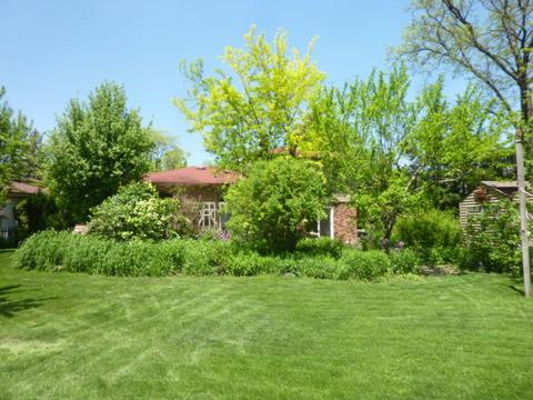 61 E Terrace Ln, Des Plaines, IL 60016 photo 41