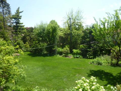 61 E Terrace Ln, Des Plaines, IL 60016 photo 46