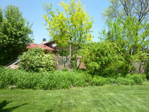 61 E Terrace Ln, Des Plaines, IL 60016 photo 36