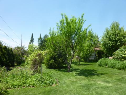 61 E Terrace Ln, Des Plaines, IL 60016 photo 40