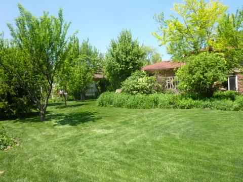 61 E Terrace Ln, Des Plaines, IL 60016 photo 44