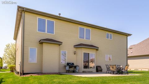 225 Poplar Ln, Beecher, IL 60401 photo 32