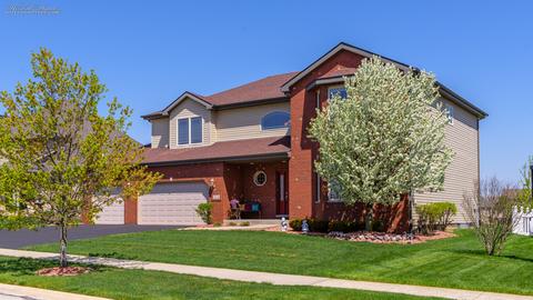 225 Poplar Ln, Beecher, IL 60401 photo 33