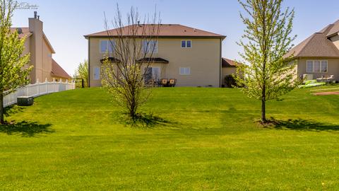 225 Poplar Ln, Beecher, IL 60401 photo 30