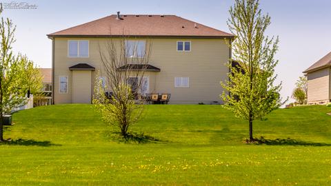 225 Poplar Ln, Beecher, IL 60401 photo 31