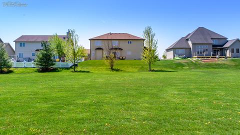 225 Poplar Ln, Beecher, IL 60401 photo 29