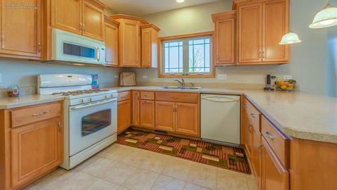 225 Poplar Ln, Beecher, IL 60401 photo 11