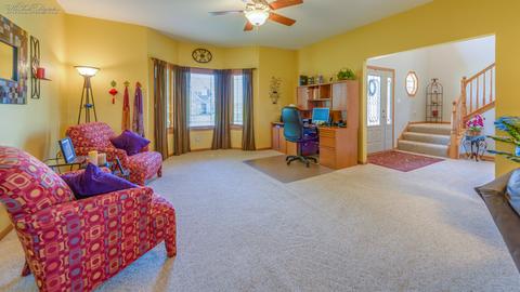 225 Poplar Ln, Beecher, IL 60401 photo 7