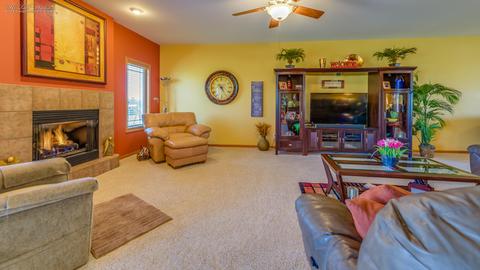 225 Poplar Ln, Beecher, IL 60401 photo 4