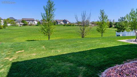 225 Poplar Ln, Beecher, IL 60401 photo 28