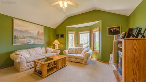 225 Poplar Ln, Beecher, IL 60401 photo 24