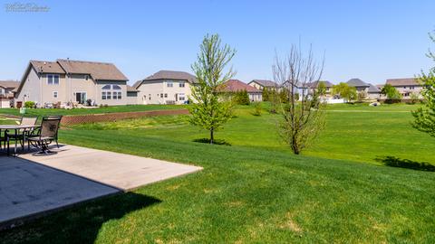 225 Poplar Ln, Beecher, IL 60401 photo 27