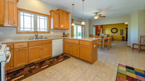 225 Poplar Ln, Beecher, IL 60401 photo 12
