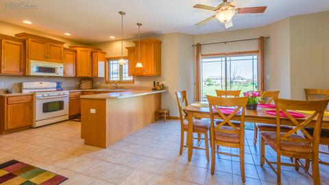 225 Poplar Ln, Beecher, IL 60401 photo 9