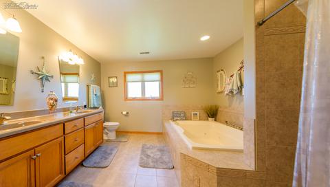 225 Poplar Ln, Beecher, IL 60401 photo 19